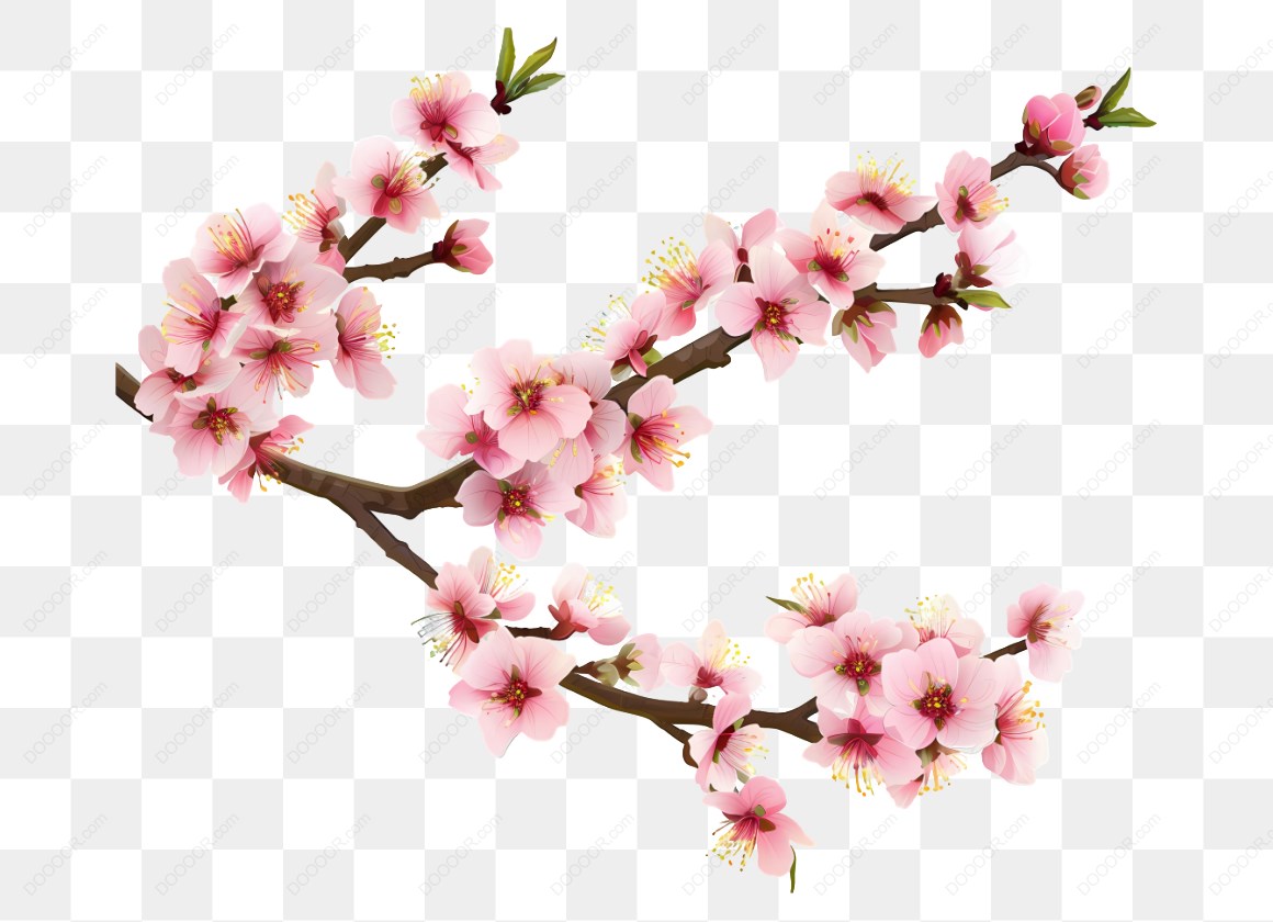 12693_粉色梅花樱花树枝图案_3.jpg